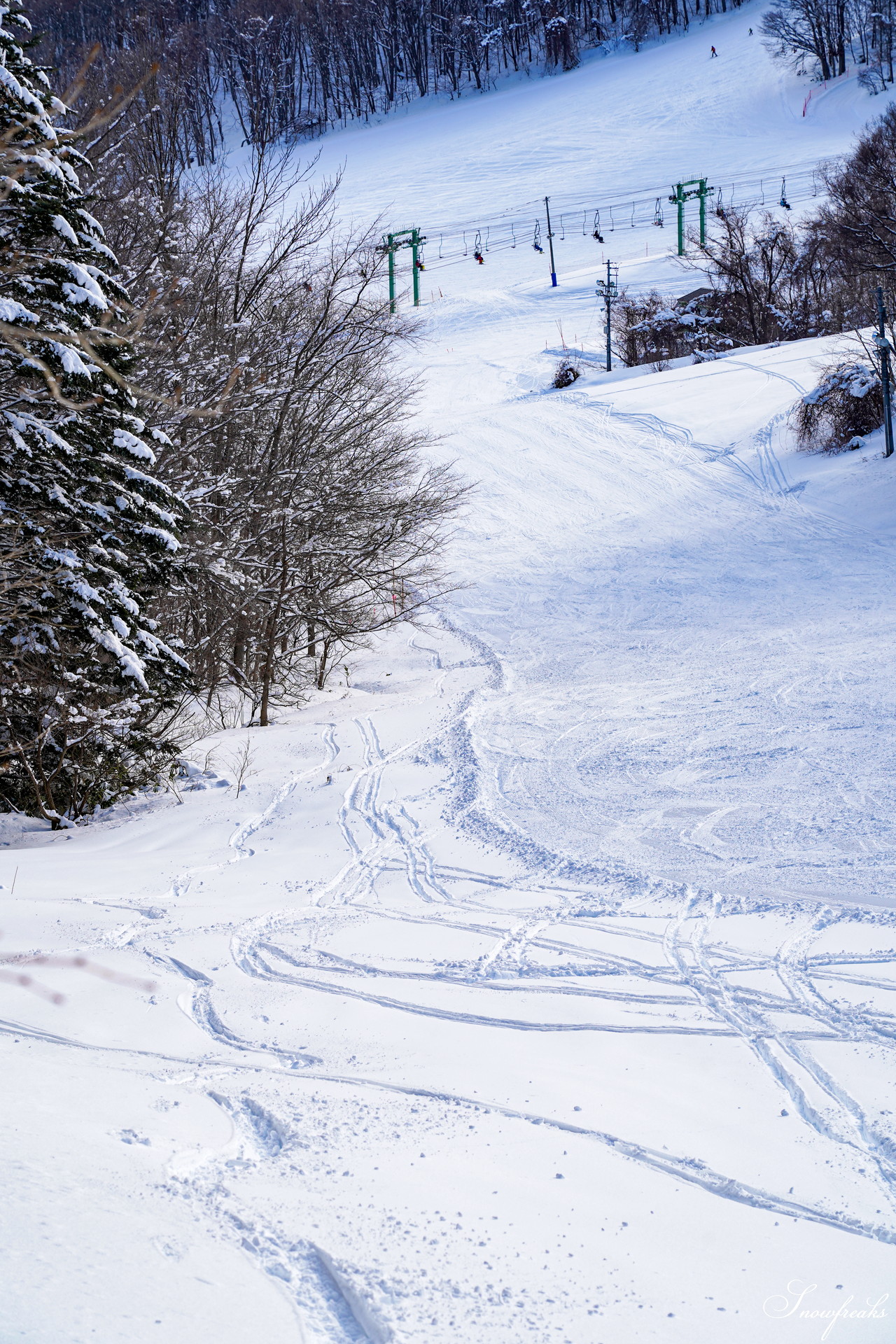 札幌藻岩山スキー場 ゲレンデの積雪は今季最深の125cm！コンディション良好で素晴らしいスキー日和に♪